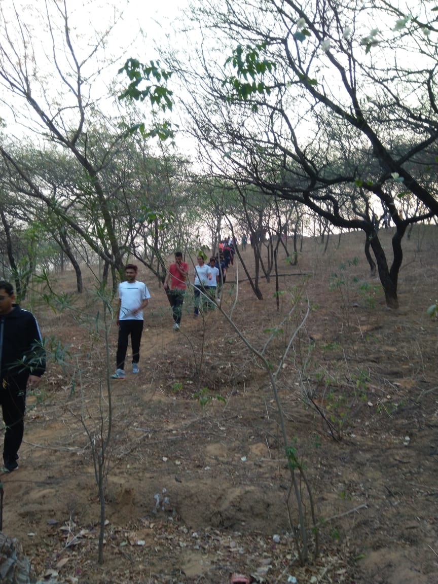 Morning Walks in Smriti Van